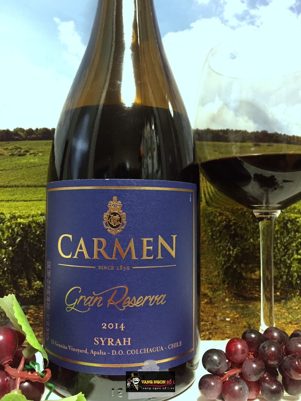 Kết quả hình ảnh cho carmen gran reserva syrah