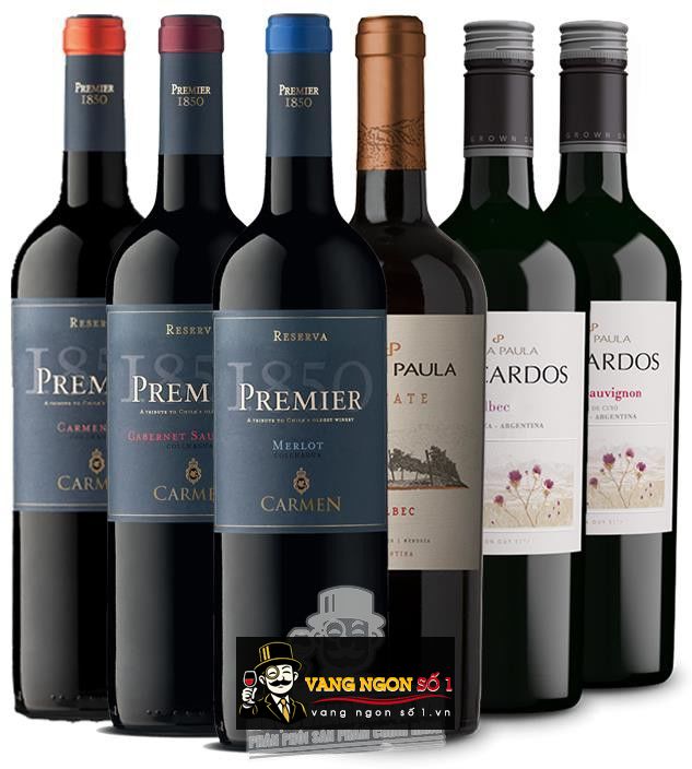 Kết quả hình ảnh cho CARMEN PREMIER CABERNET SAUVIGNON 2017