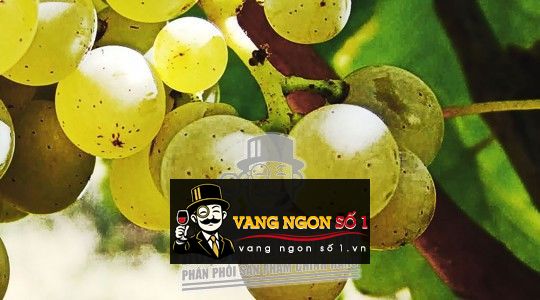 Hình ảnh có liên quan