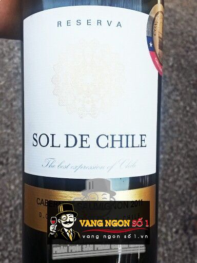 Sol de Chile Cabernet Sauvignon 2011 Villa Alegre Chile (With ...