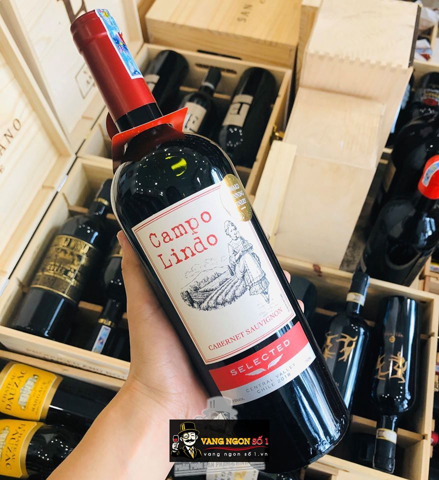 Giá sale: 235,000đ - Vang Chile Campo Lindo Selected hảo hạng