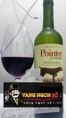 Kết quả hình ảnh cho undurraga pointer reserva cabernet sauvignon
