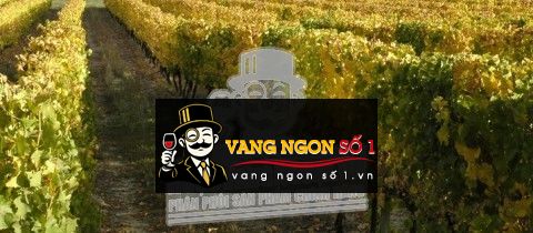 Vùng nho Curicó Valley – Chile | RƯỢU VANG NHẬP KHẨU