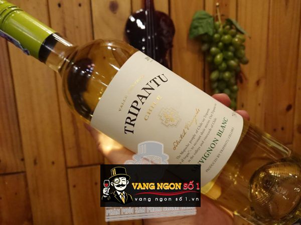 Rượu Vang Chile Tripantu Sauvignon Blanc - Ruouvangngoai.vn