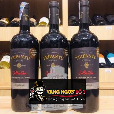 Vang Chile Tripantu Reserve Cabernet Sauvignon 700ml - rượu vang chile