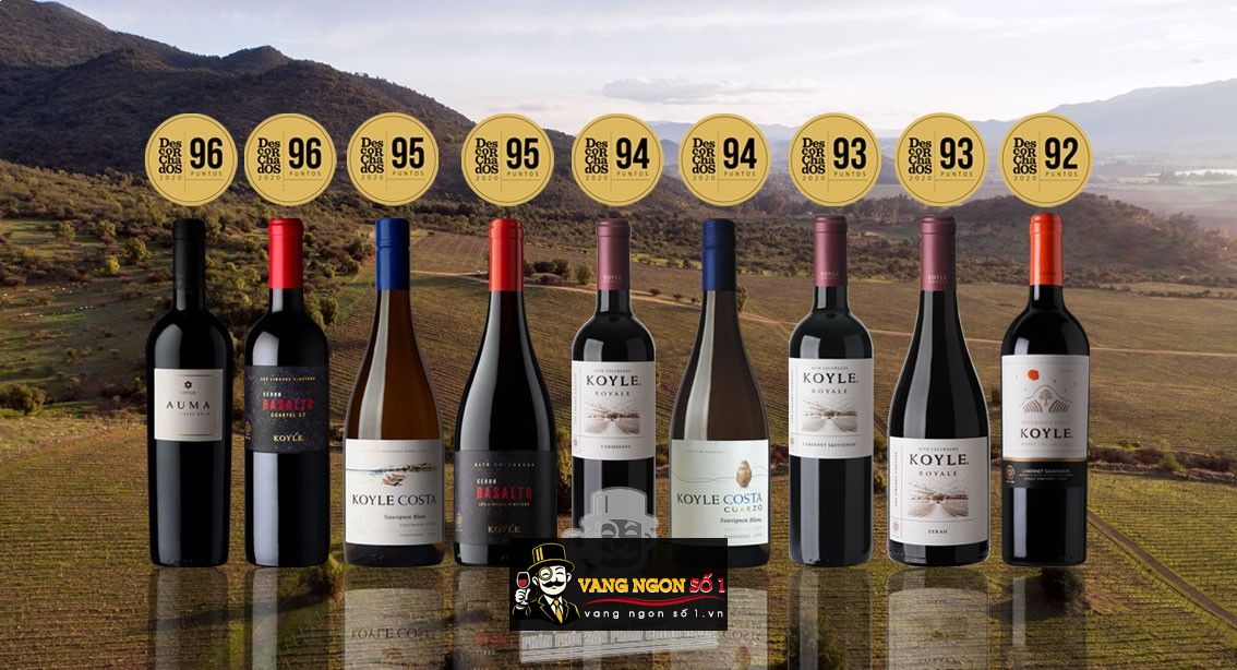 Outstanding scores for Viña Koyle in Descorchados 2020 – Viña Koyle