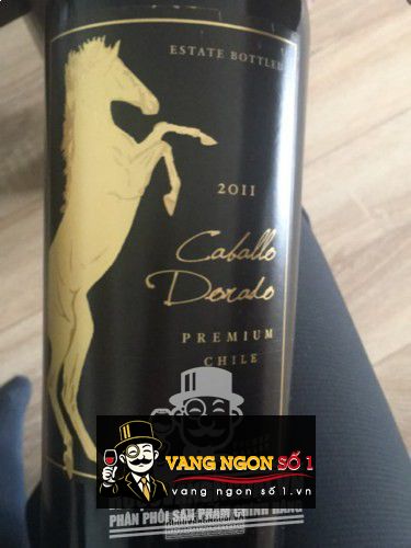 Image result for Caballo Dorado Premium Carmenere Syrah