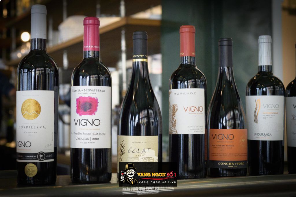 Vang Chile Vignadores de Carignan By Concha Y Toro