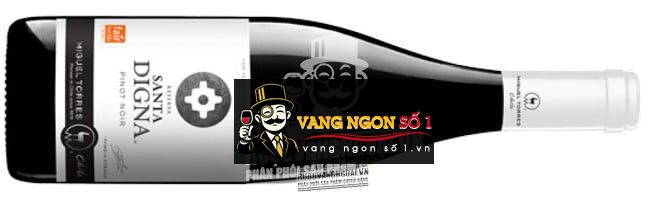 Vang Chile Santa Digna Pinot Noir