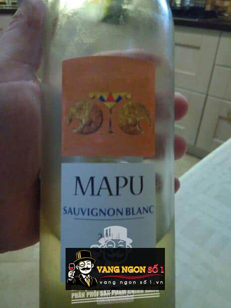 Vang Chile Baron Philippe de Rothschild Mapu (Red - White)