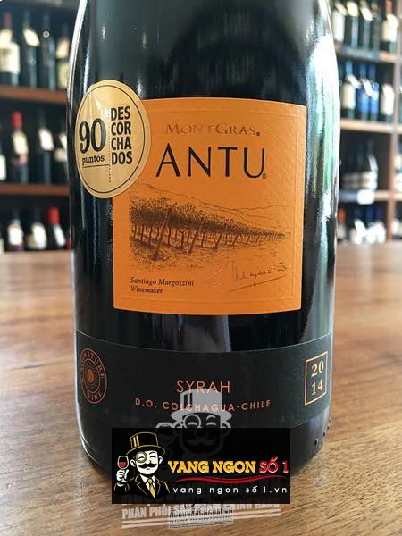 Vang Chile Antu Shiraz