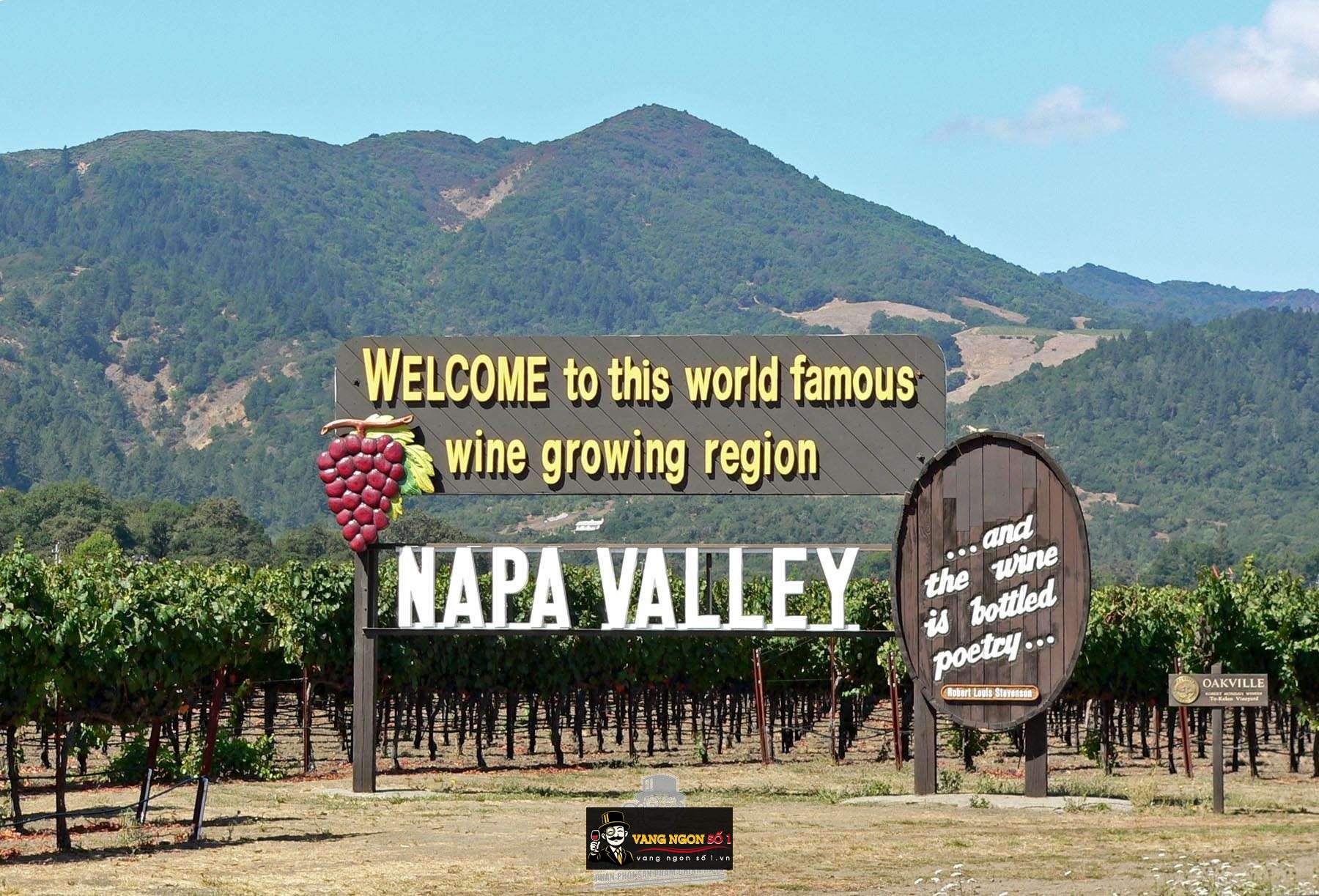 Kết quả hình ảnh cho napa valley 55 MERLOT