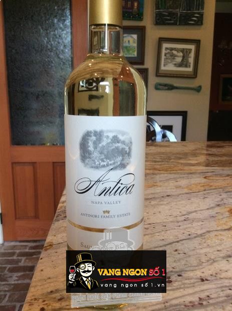2015 Antica (Antinori) Sauvignon Blanc, USA, California, Napa ...