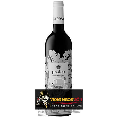 Kết quả hình ảnh cho vang nam phi protea cabernet sauvignon