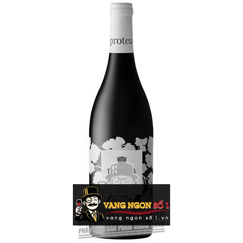 Kết quả hình ảnh cho vang nam phi protea shiraz