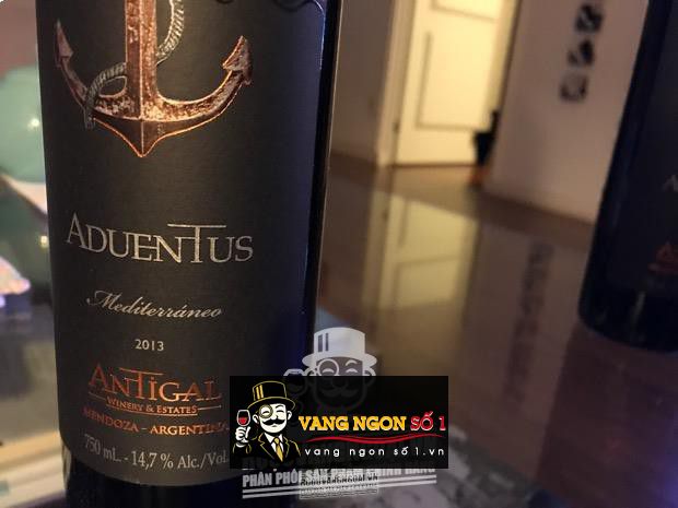 Vang Argentina Aduentus Antigal Blend
