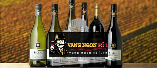 Káº¿t quáº£ hÃ¬nh áº£nh cho new zealand sileni straits sauvignon blanc