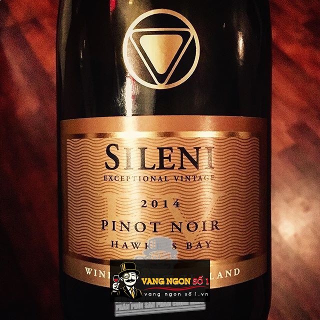 Kết quả hình ảnh cho SILENI PINOT NOIR EXCEPTIONAL