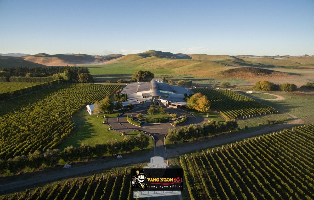 Kết quả hình ảnh cho SILENI PINOT NOIR EXCEPTIONAL