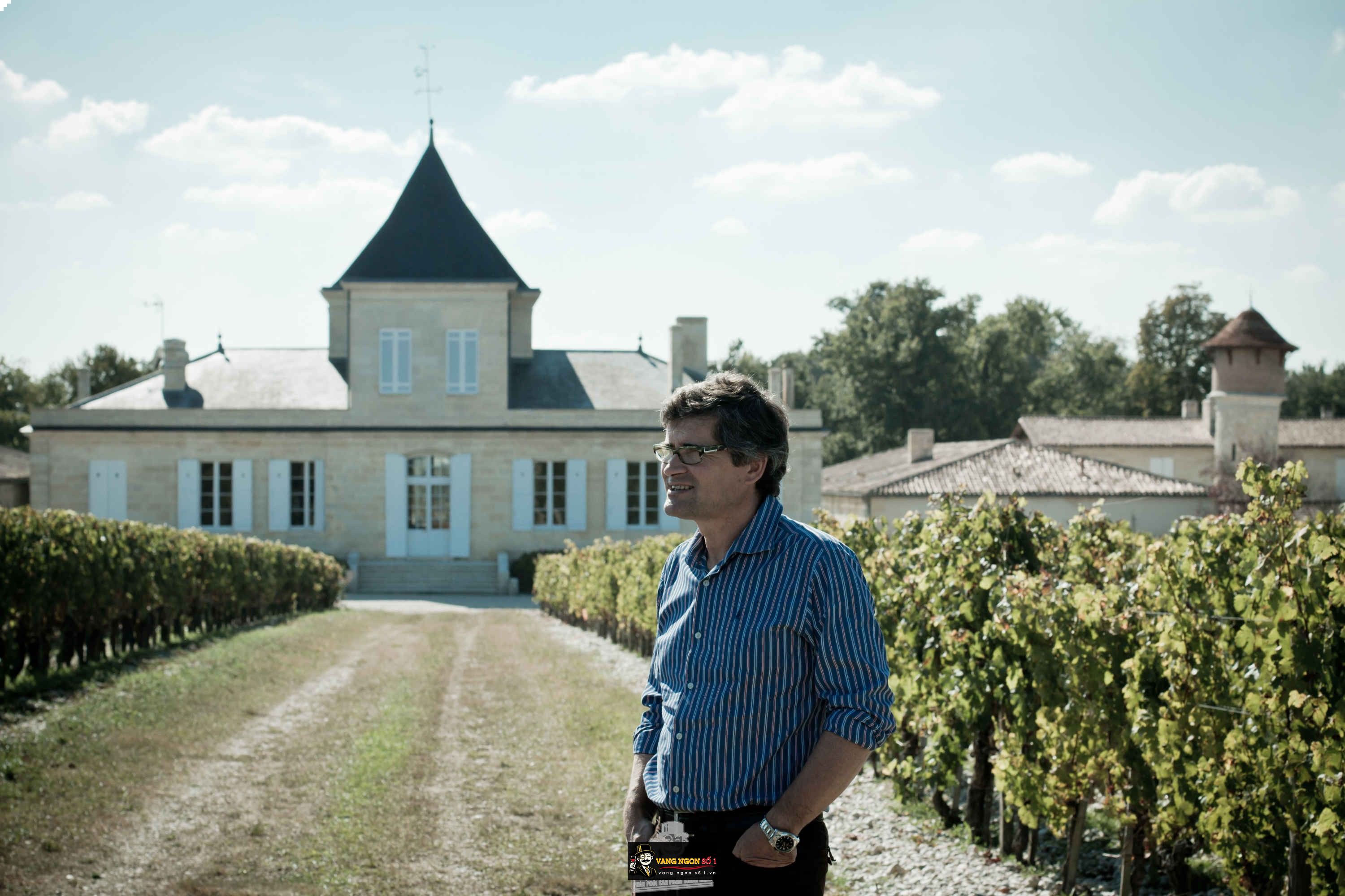 1466567608-2255-chC3A2teau-Brane-Cantenac