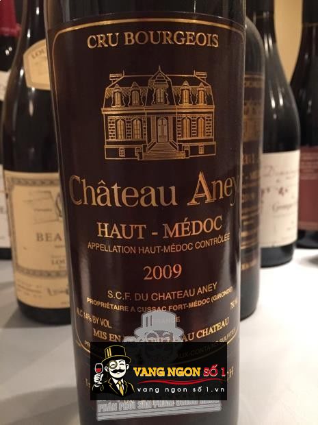 Kết quả hình ảnh cho chateau aney haut medoc