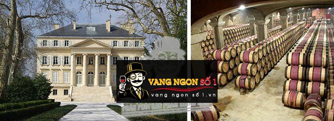 Kết quả hình ảnh cho chateau la fortune margaux