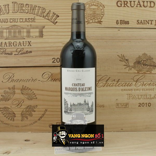 Kết quả hình ảnh cho CHATEAU marquis d'alesme