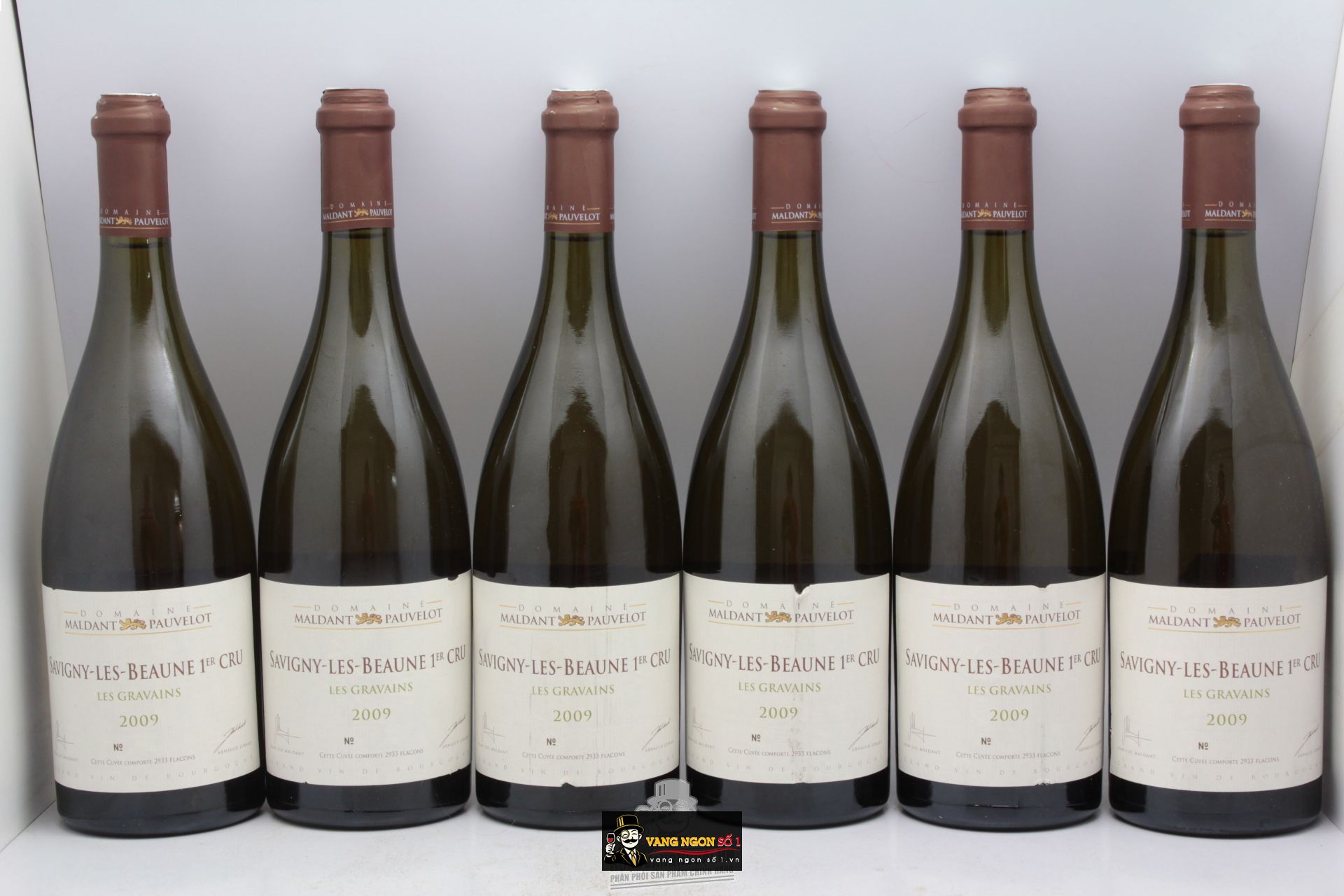 Kết quả hình ảnh cho domaine maldant pauvelot savigny les beaune 2011