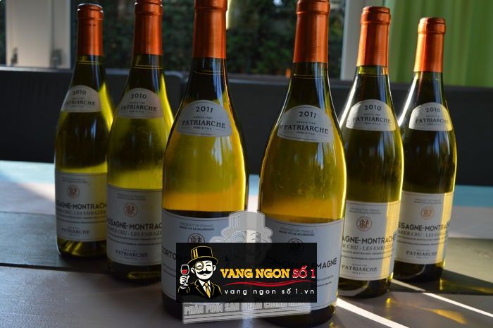 Kết quả hình ảnh cho patriarche corton charlemagne