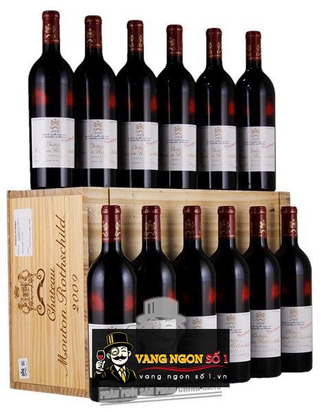 Kết quả hình ảnh cho CHATEAU MOUTON ROTHSCHILD 2009