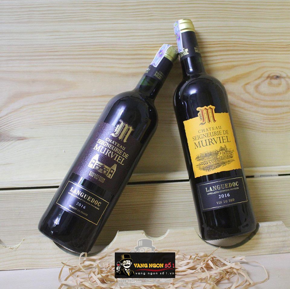 Kết quả hình ảnh cho chateau seigneurie de murviel