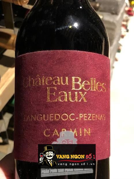 Kết quả hình ảnh cho CHATEAU BELLES EAUX LANGUEDOC PEZENAS CARMIN