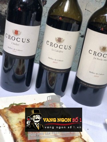 Kết quả hình ảnh cho crocus le calcifere