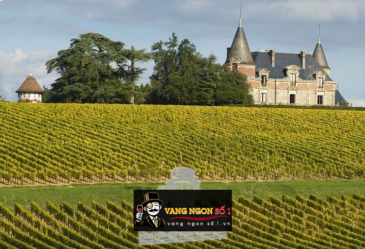 Kết quả hình ảnh cho lâu đài chateau palmer