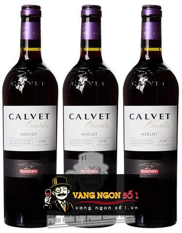 Products – Page 5 – All Wine Storage