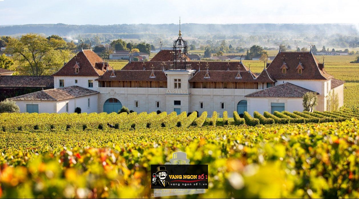 Kết quả hình ảnh cho chateau angelus