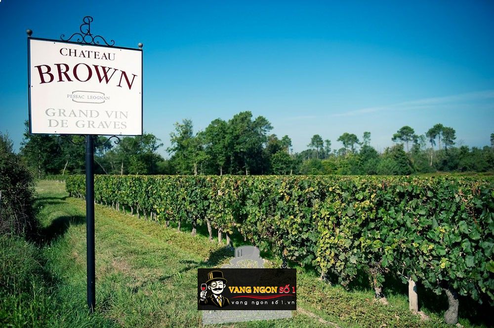 Chateau Brown - xtrawine DE