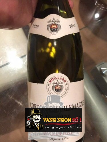 Kết quả hình ảnh cho moillard corton charlemagne 2016