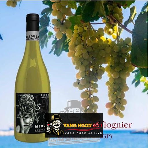 Kết quả hình ảnh cho medusa viognier PREMIUM
