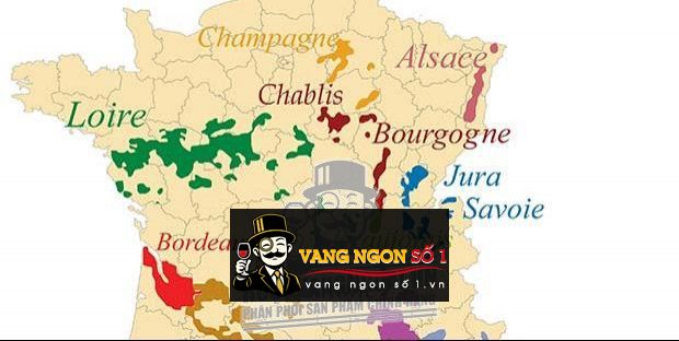 Mẹo mua sắm rượu vang theo từng vùng miền. – Hãy cùng chia sẻ và ...