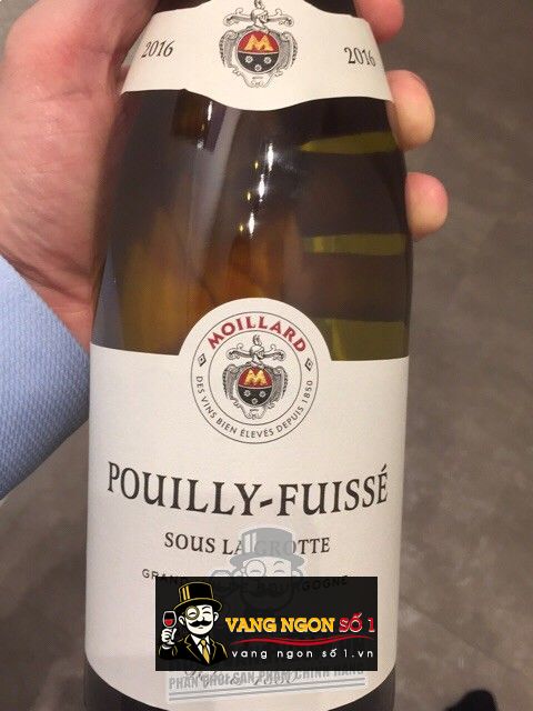 Moillard Sous La Grotte Pouilly-Fuissé 2017 