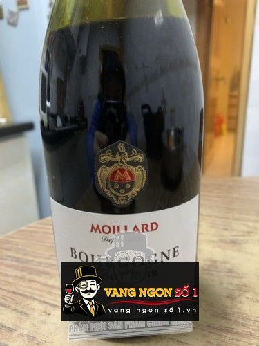 Moillard Bourgogne Pinot Noir 2015 