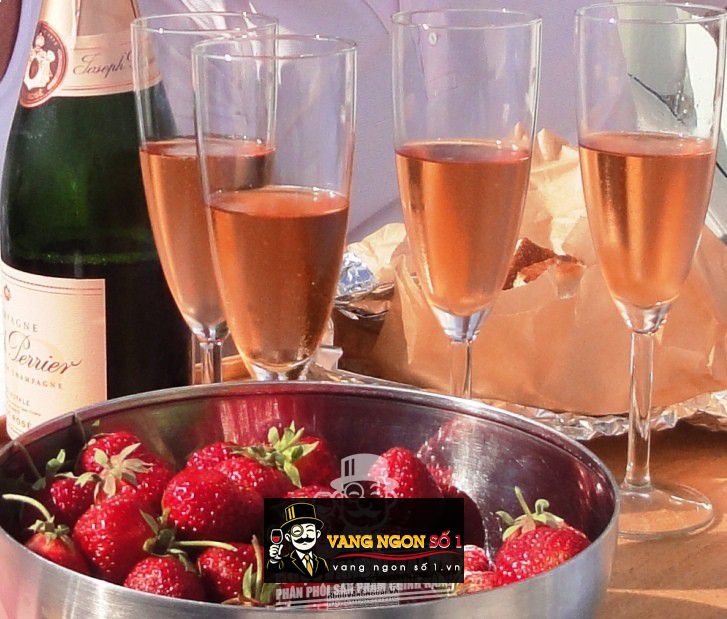 Vang Pháp Opale Cotes De Provence