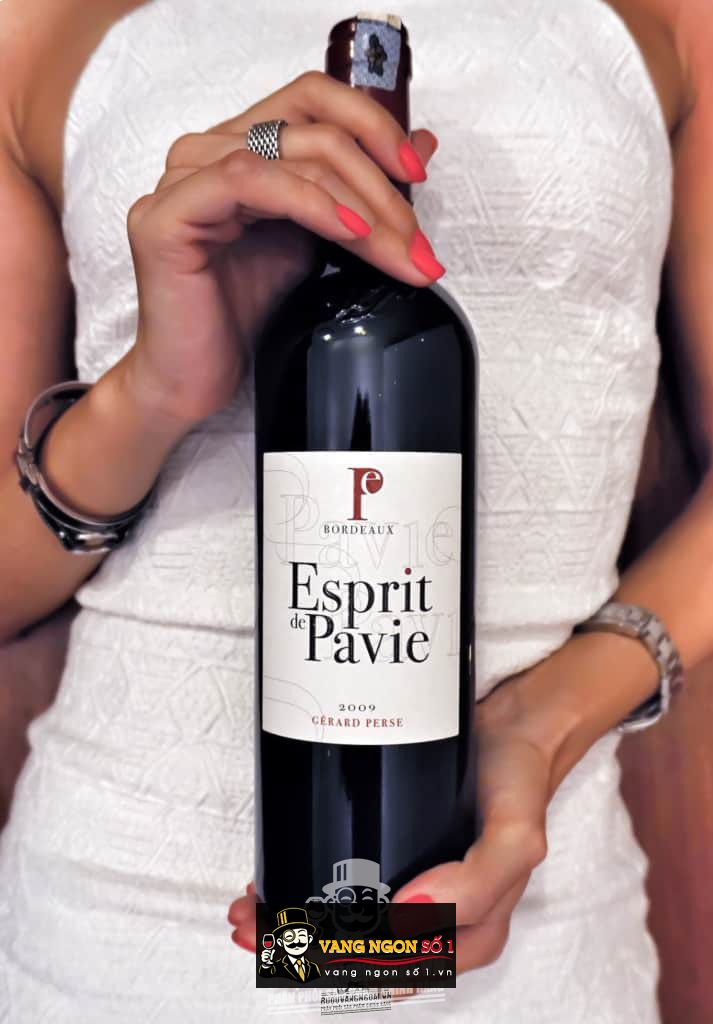 Vang Pháp Esprit de Pavie Merlot