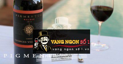 Rượu vang Pháp Pigmentum red Cotes de Gascogne