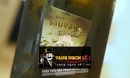 Rượu vang Pháp Pascal Jolivet Sauvage Sancerre