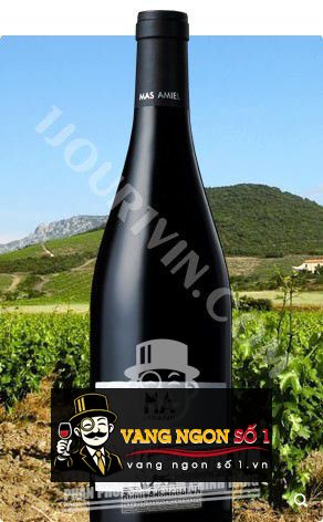 Rượu vang Notre Terre Mas Amiel