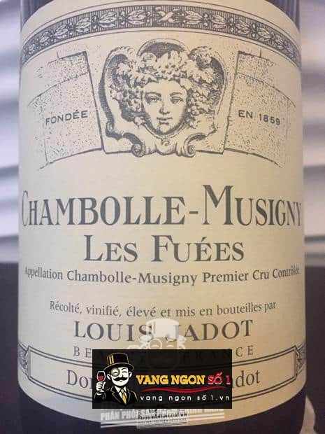 Vang Pháp Chambolle Musigny Les Fuees Louis Jadot 2013