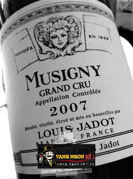 Vang Pháp Musigny Grand Cru Louis Jadot
