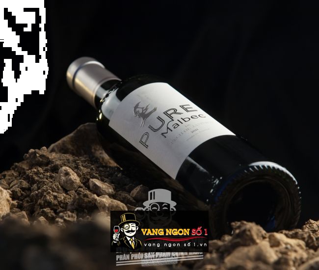 Vang Pháp Chateau Pech De Jammes Pure Malbec Cahor